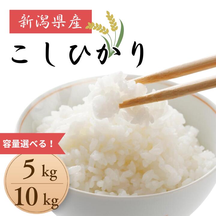 【ふるさと納税】米 コメ お米 おこめ こしひかり 精米 白米 5kg 10kg 令和7年産 2025年産 送料無料 新潟 見附 見附市
