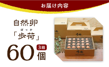 ☆放し飼い自然卵「歩荷」60個入箱