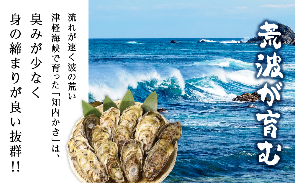 【2026年3月中旬以降発送】海峡育ち 殻付き牡蠣 Sサイズ 35個入 カキナイフ付＜上磯郡漁業協同組合＞