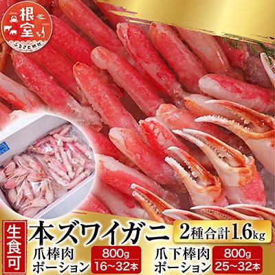 ふるさと納税 根室市 本ズワイガニ(爪棒肉・爪下棒肉)計1.6kg C-28032
