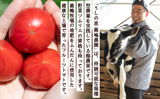 【先行受付】家庭用 野菜ソムリエが育てた フルーツトマト 500g×6袋 合計3kg - 野菜 とまと 産地直送 料理 アレンジ サラダ 完熟 甘い あまい フレッシュ さっぱり 酸味 うしの恵 小分