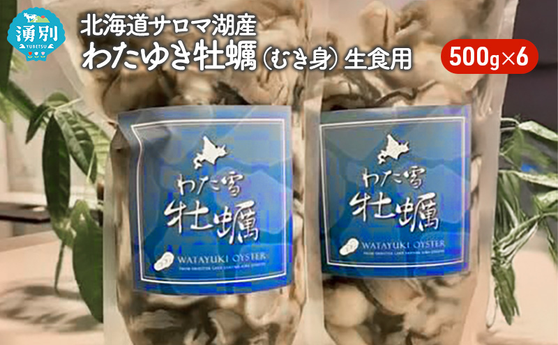 北海道 サロマ湖産 わたゆき牡蠣（ むき身 ）3kg 500g×6 生食 カキ 牡蠣 かき 海鮮 魚介 国産 生牡蠣 冷蔵 産地直送 オホーツク 魚貝類 海の幸 牡蠣のむき身 オイスター