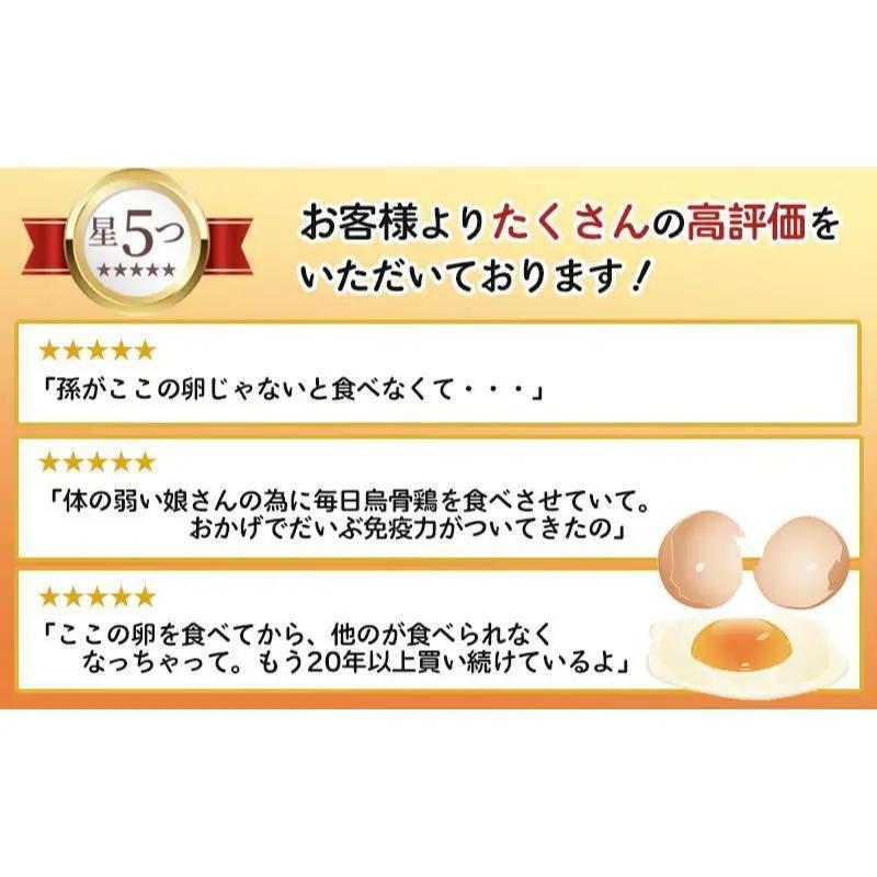 卵 烏骨鶏 30個 10個×3パック セット 卵