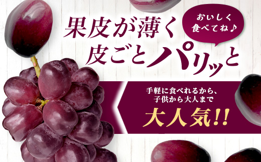 黒酢ブラックシャインマスカット『富士の輝き 1房（約700g）』【先行予約】【2026年8月下旬～9月下旬発送予定】上品な香りと甘みで満たされる宝石級ぶどう 黒酢アミノ酸効果の旨味 新鮮 生産者直送 