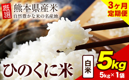 【3ヶ月定期便】 白米 ひのくに米 5kg 《お申込み月の翌月から出荷開始》 食品 米 こめ コメ 熊本県産 ふるさと納税 お米 おこめ 熊本