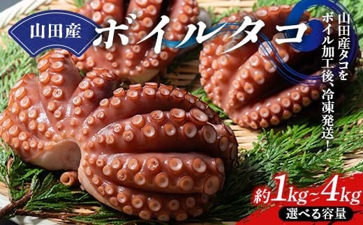 
            【選べる容量】川石水産の山田産ボイルタコ 1kg・2kg・4kg 三陸山田 山田町 海産品 山田湾 蛸 刺身 タコ飯 YD-876var
          