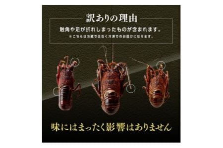 【訳あり】冷凍伊勢海老（小）500g　(3～5尾)【期間限定 数量限定 魚介類 えび 伊勢えび イセエビ 日向灘 訳あり 伊勢海老】