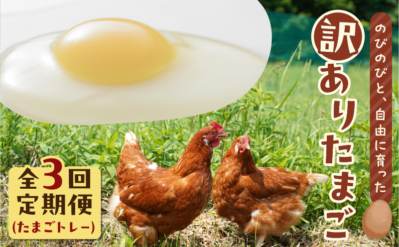 【全3回定期便】訳ありたまご　（たまごトレー）　T074-T02
