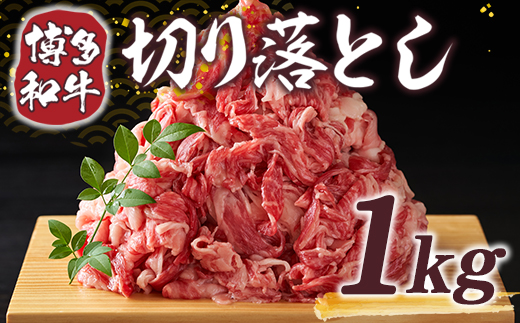 博多和牛 切り落とし 500g 2p 計 1kg [MEAT PLUS 福岡県 宇美町 um40azp010006] 牛肉 切落し 肉 肩肉 バラ肉 和牛