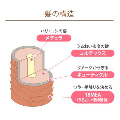 ふるさと納税 茂原市 DHCしっとりうるおうシャンプーEX&コンディショナーEX　本体セット |  | 01