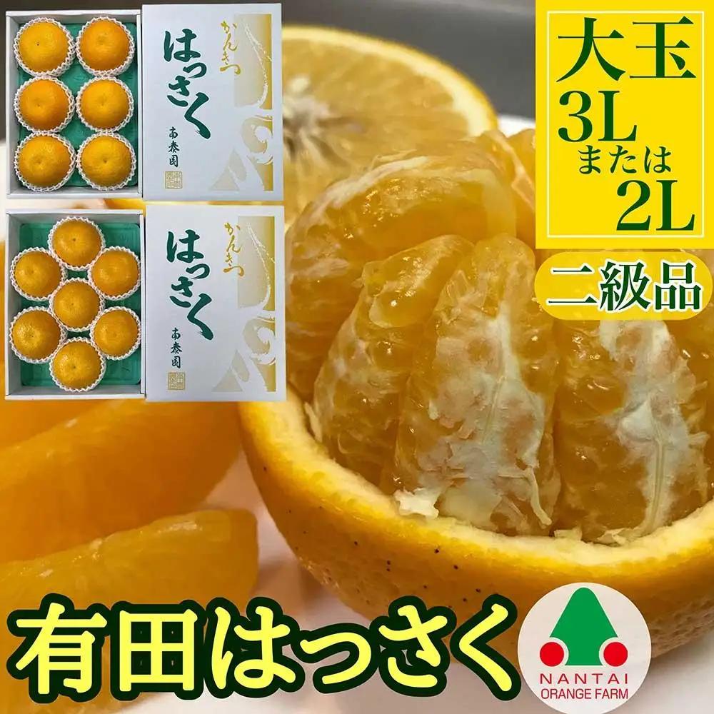 手詰め 有田 はっさく 大玉 3L × 6玉 または 2L × 7玉 ちょっと 傷あり 南泰園 みかん