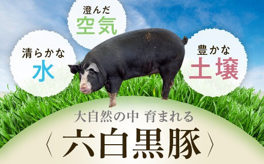 【B02084】鹿児島県産黒豚バラブロック（約2kg）・黒豚餃子セット