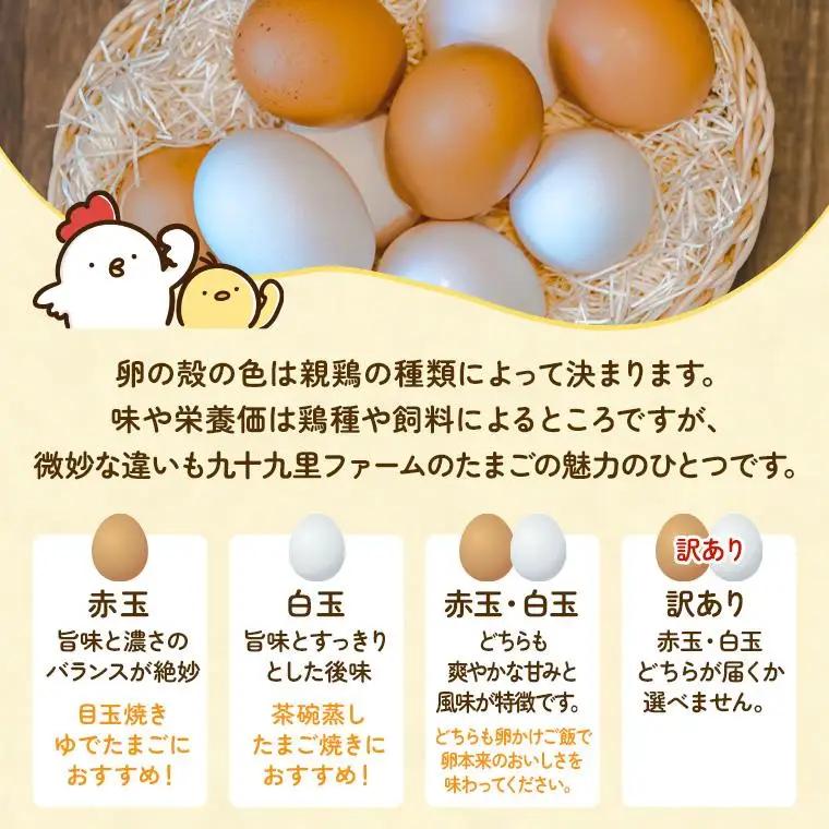 【定期便3回】九十九里ファームこだわりたまご贈答用 60個 ～あおい海・みどりの里～《白玉》 たまご 卵 玉子 タマゴ 白玉 卵かけご飯 新鮮 旨み 甘み 贈答用 贈答 ギフト 贈り物 千葉県 匝瑳市