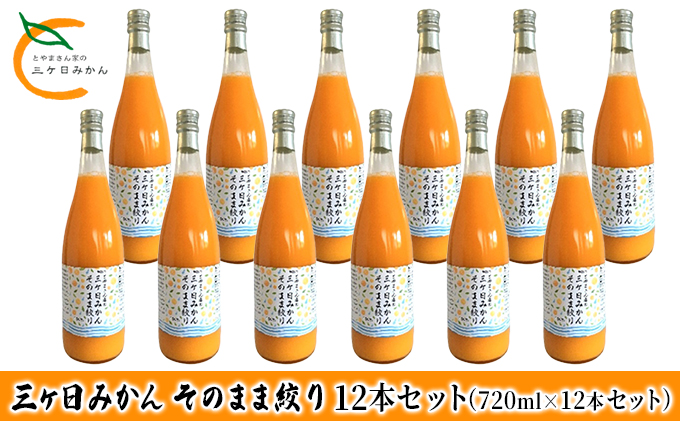 三ヶ日みかん そのまま絞り 12本セット（720ml×12本セット）