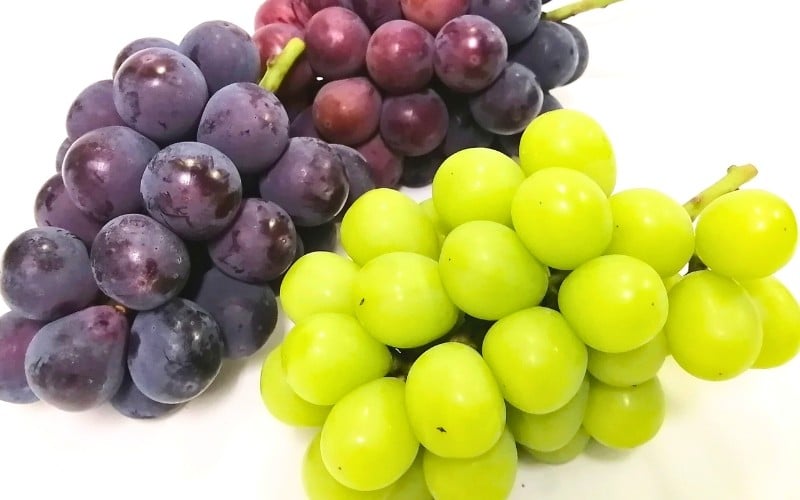 
            【訳あり】岡山県産 林ファミリーのシャインマスカット&ピオーネ 約2kg（約3～5房） 【2025年先行予約】 / ご家庭用 岡山 真庭市 ぶどう 果物 フルーツ セット
          
