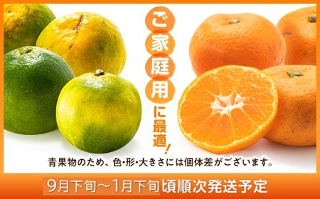 AA216.いわくま果樹園から直送品の温州みかん（約5kg）／2026年9月下旬～2027年1月下旬発送予定★予約分★
