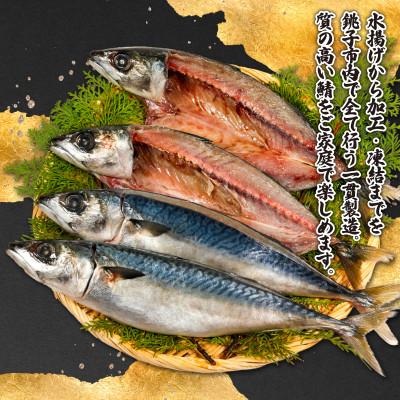ふるさと納税 銚子市 銚子産　一汐さば　8kg |  | 03