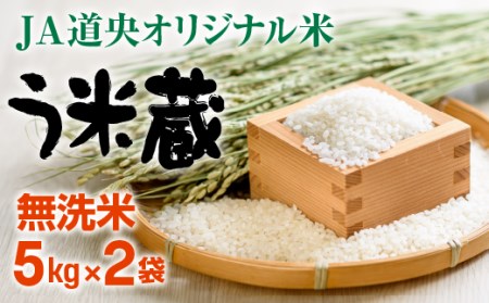 北海道米 う米蔵無洗米5kg×2袋（10kg）