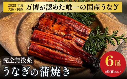 鰻 鰻の蒲焼き6尾セット｜ 国産うなぎ 国産 美陵鰻 うなぎ ウナギ 鰻 かば焼き 蒲焼きせいろ蒸し 土用の丑の日 土用 丑の日 贈答 贈り物 大阪府 阪南市 送料無料 ギフト プレゼント 縁起物 お中元 御中元 お歳暮 御歳暮 敬老の日 特大 肉厚 うな重 うな丼 ひつまぶし 惣菜 おかず タレ 山椒 ワサビ れいわ水産