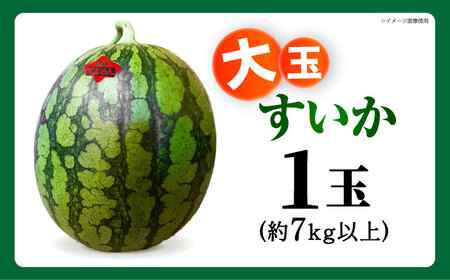 【先行予約】 【数量限定】大玉スイカ 約7kg以上（1玉） 【とみおか農園】[ZEM004]