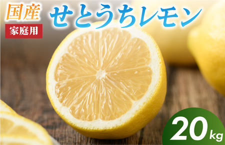 【先行予約】せとうちレモン　今治産　20kg【K002320KG20】