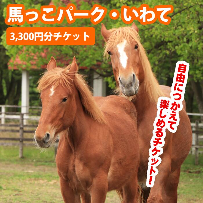 【ふるさと納税】 おすすめ 馬 うま ウマ 体験チケット 3,000円分 体験 チケット ふれあい 触れあい 動物 乗馬 引馬 乗馬体験 馬車 騎乗 レジャー アクティビティ 楽しい 夏休み 子ども 大人 スポーツ アウトドア 馬体験 馬っこパーク 岩手県 滝沢市 送料無料