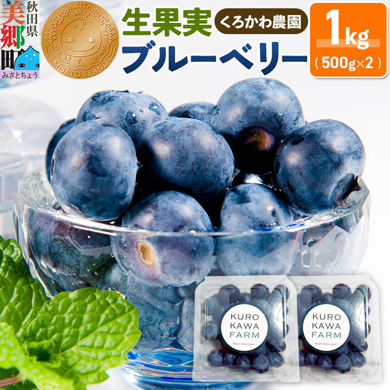 【ふるさと納税】くろかわ農園 ブルーベリー 1kg（500g×2パック）摘みたて 秋田県美郷町