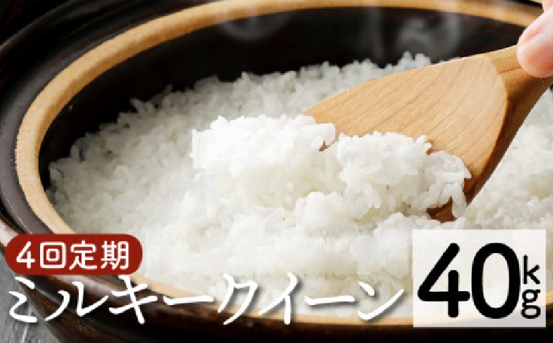 【定期便4回コース】<令和8年産>ミルキークイーン(10kg×4回)_K028-T008