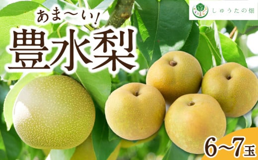 【先行予約】 しゅうたの畑 あまーい♪ 豊水梨 6玉から7玉 【2025年8月中旬から8月下旬 出荷予定】 梨 なし ナシ 豊水 ほうすい 果物 くだもの フルーツ 果実 ジューシー 産直農園 お取り寄せ 福岡県 うきは市