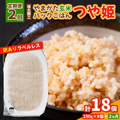 ふるさと納税 山形市 【定期便2回】やまがた玄米パックごはん 150g×9個  (つや姫) ラベルレス  FY25-167