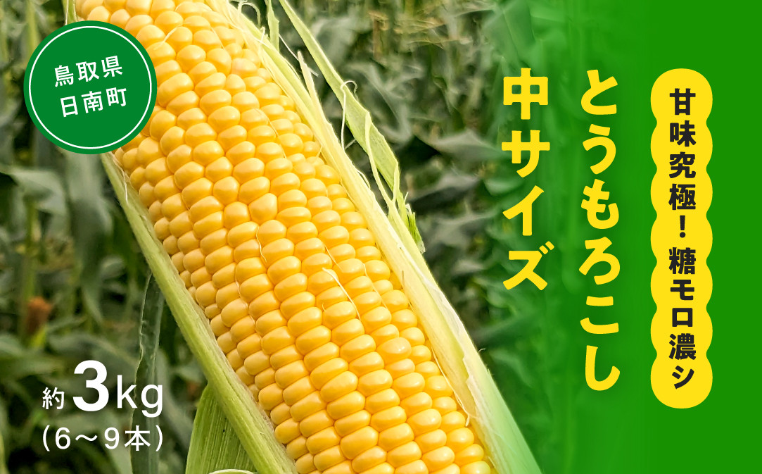 
                  甘味究極！ 糖モロ濃シ 中サイズ 3kg(6～9本)【とうもろこし】朝どれ直送 スイートコーン 産地直送 【配送不可地域：離島】 鳥取県日南町 星の農園
                