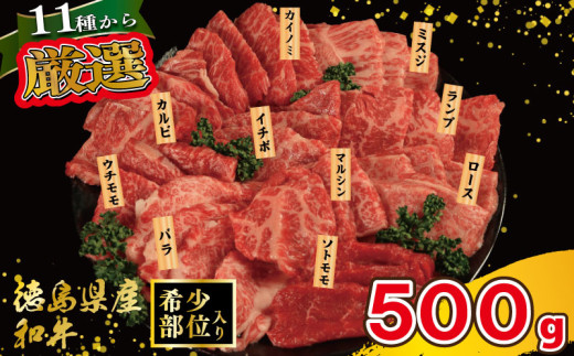 焼肉 セット 牛肉 おまかせ 5種 国産和牛 ロース バラ 外もも 内もも マルシン カイノミ イチボ ランプ カルビ ミスジ トンビ 和牛 焼き肉 希少部位 赤身 食べ比べ にく ぎゅう うし BBQ やきにく お祝い イベント パーティー おかず おつまみ 贈答 プレゼント 徳島県 吉野川市