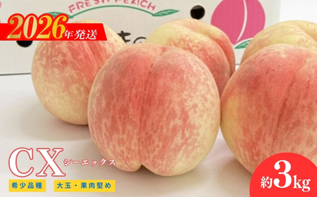 No.2580希少品種CX/シ－エックス 約3kg【2026年発送　先行受付】