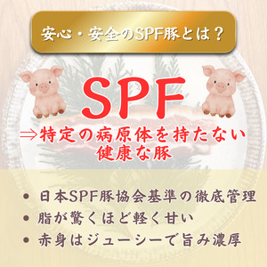 【チャーシュー専門店ミートポーク山水】生ベーコン【完全無添加】約1kg ／ SPF SPF豚 SPF豚肉 林SPF 豚肉 豚バラ 生ベーコン ベーコン 無添加