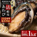 【ふるさと納税】 【2024年先行予約】あわび 北海道 利尻島産 直送！天然 活えぞあわび 選べる500g～1kg 鮑 海鮮 冷蔵 お刺身 魚介 お祝い【福士水産】北海道ふるさと納税 利尻富士町 ふるさと納税 北海道産アワビ 産地直送 活 美味しさに 訳あり