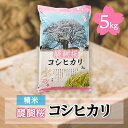 【ふるさと納税】醍醐桜コシヒカリ　5kg【1104891】