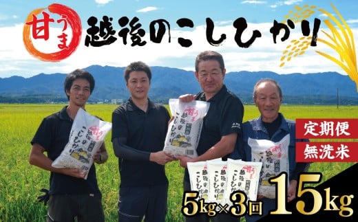 【定期便】コシヒカリ 無洗米 5kg 3ヵ月 15kg 令和7年産 甘うま越後の こしひかり 米 お米 こめ 新潟米 新潟県産 新潟産 新潟 新潟県 新発田産 新発田 新発田市 斗伸 toushin044