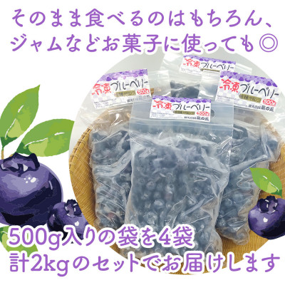 【摘みたて冷凍】自然の中で育った冷凍ブルーベリー(500g×4パック)【配送不可地域：離島】
