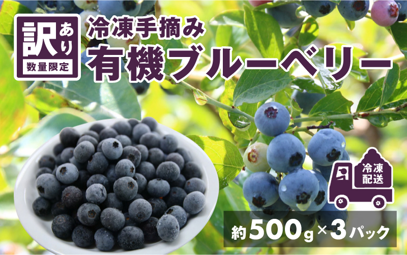 【先行予約】【7月中旬以降順次発送】【訳あり】令和8年産〈冷凍〉手摘み有機ブルーベリー1.5kg（500g × 3パック） 1.5kg（500g × 3パック）
