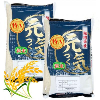 ふるさと納税 筑前町 【令和7年産】福岡県産ブランド米「元気つくし」白米10kg(筑前町)