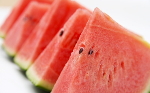 【先行予約】茨城県産ピノガール約3kg（2個）【2026年5月中旬～6月中旬ごろ発送予定】【 こだますいか 小玉すいか スイカ 西瓜 果物 くだもの フルーツ 国産 季節限定 人気 贈り物 お取り寄せ