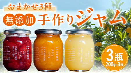 岩﨑農園 無添加 手作り ジャム 200g 3本 広島県 大崎上島町 瀬戸内 離島 農家 完全受注生産 新鮮 フレッシュ フルーツ いちじく みかん いちご ブルーベリー キウイ 果物 詰め合わせ パン