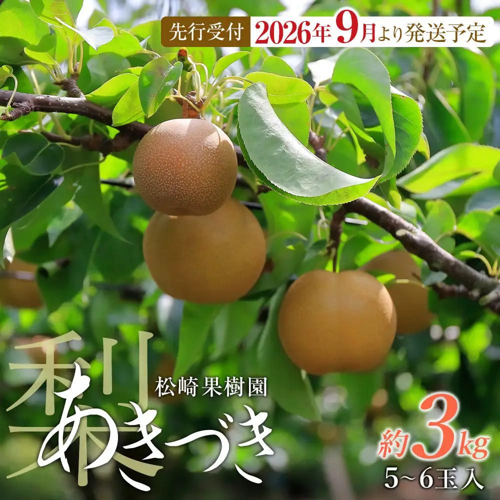 【2026年発送】 梨 「あきづき」 約3kg （5～6玉入） 【松崎果樹園】 ｜ 梨 