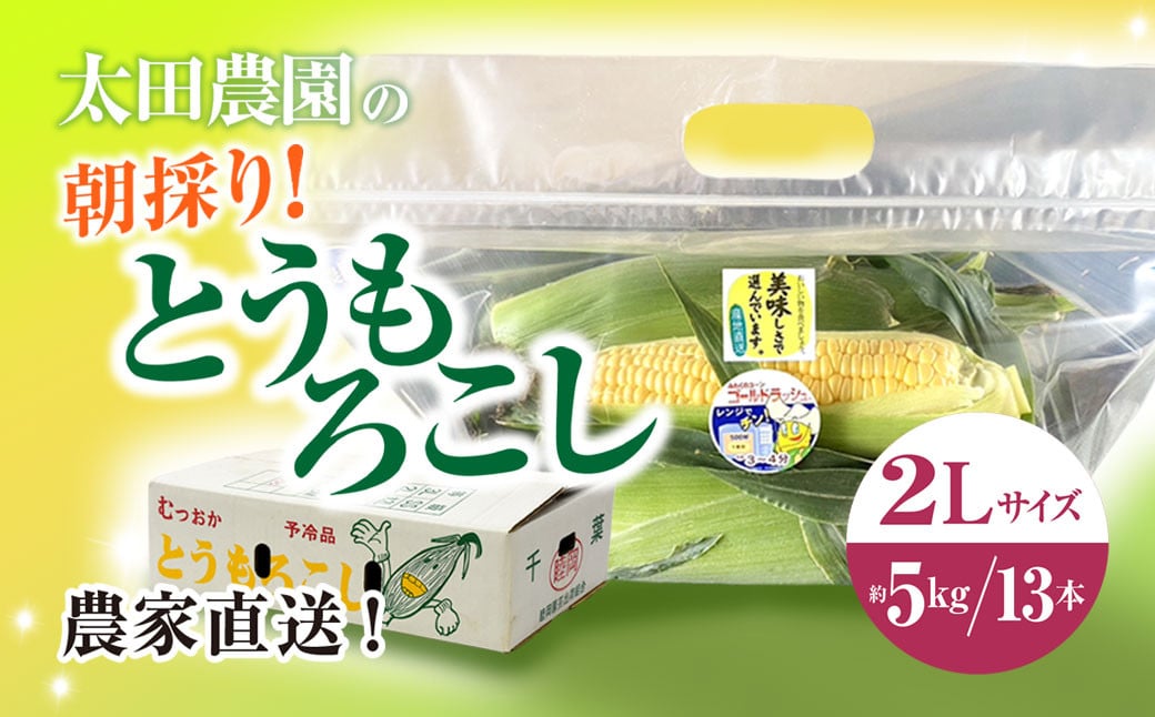 
【先行予約/2025年6月中旬～6月末発送予定】農家直送!太田農園の朝採り とうもろこし 2L 13本　SMBW003
