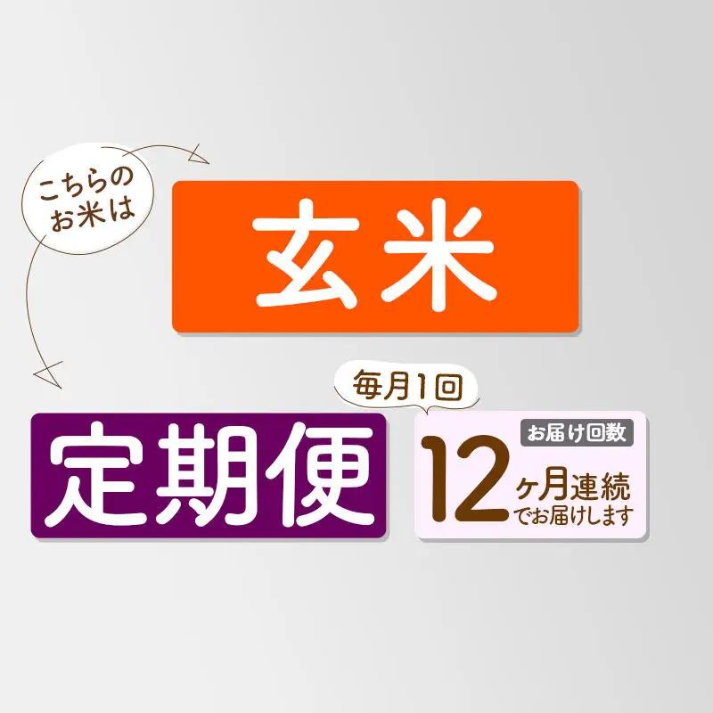 《新米》《定期便12ヶ月》【玄米】あきたこまち 一等米 5kg 秋田県産 令和8年産  こまちライン