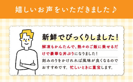 とけたらとれたて ヒラマサ 漬け丼 の素 20食分【しまうま商会】[DAB057]/ 長崎 魚 魚介類 海鮮 丼 海鮮丼 小分け 調理不要 刺身 おススメ海鮮丼 おすすめの海鮮 海鮮丼 海鮮丼 おすす