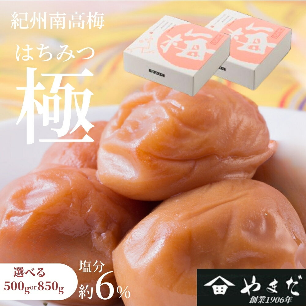 【ふるさと納税】紀州南高梅 はちみつ極（塩分約6%） 500g～850g | 南高梅 梅 うめ ウメ 梅干し はちみつ はちみつ梅 甘さ控えめ 塩分控えめ 着色料不使用 甘味料不使用