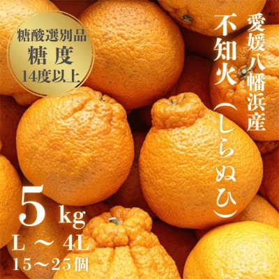 【糖度14.0以上酸1.4以下】糖酸選別品 愛媛産 不知火 (しらぬひ) 5kg【D20−61】【配送不可地域：離島】【1620228】