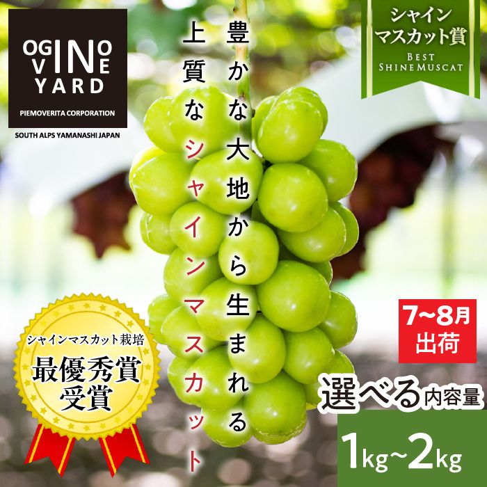 【ふるさと納税】＜2026年発送先行予約＞ 山梨県産早期出荷シャインマスカット 選べる数量 ふるさと納税 シャインマスカット ぶどう 葡萄 果物 フルーツ 早期出荷 ハウス栽培 2房 おすすめ 山梨県 南アルプス市 送料無料