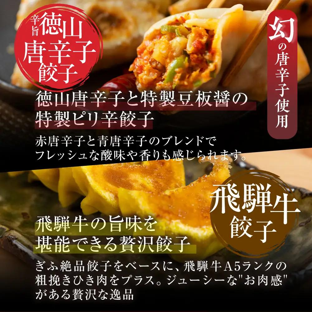 辛旨餃子 ミックス 3種 40個 冷凍餃子 食べ比べ メガ盛り 業務用 ぎょうざ ギョウザ 冷凍 グルメ お取り寄せ グルメ 冷凍食品 国産素材 ジューシー もちもち [mt2216] 8000円 
